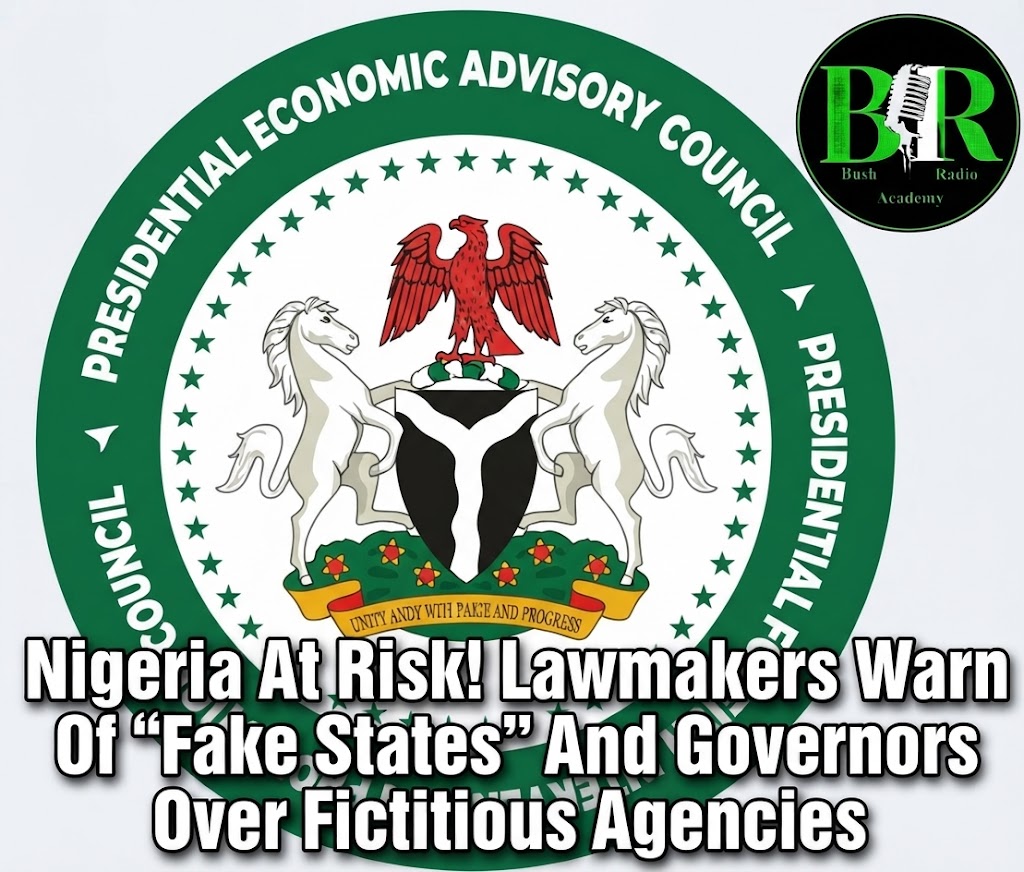 Nigeria At Risk! Lawmakers Warn Of “Fake States” And Governors Over Fictitious Agencies