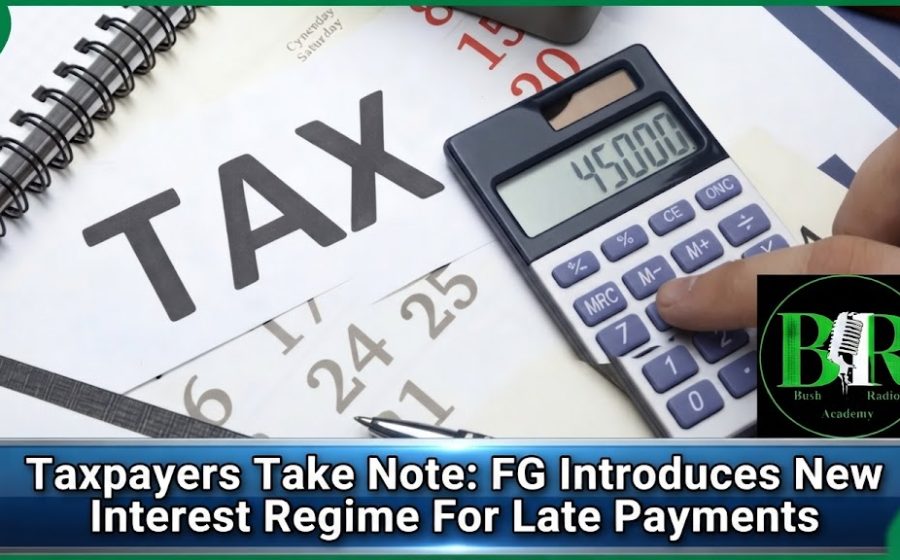 Taxpayers Take Note: FG Introduces New Interest Regime For Late Payments
