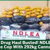 ₦3.4bn Drug Haul Busted! NDLEA Nabs Fake Cop With 292kg Cannabis