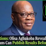 2027 Elections: Olisa Agbakoba Reveals Whether Nigerians Can Publish Results Before INEC