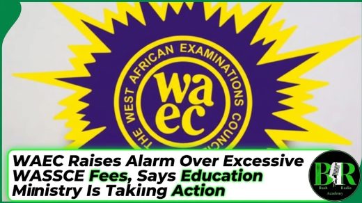WAEC Raises Alarm Over Excessive WASSCE Fees, Says Education Ministry Is Taking Action