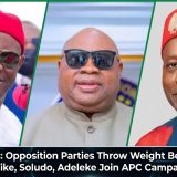 2027 Politics: Opposition Parties Throw Weight Behind Tinubu As Wike, Soludo, Adeleke Join APC Campaign Council