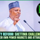 Electricity Reform: Shettima Challenges States To Build Their Own Power Markets And Attract Investors